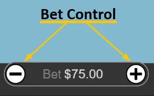 Bet control